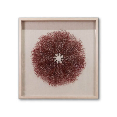 TESA WALL DECORATION