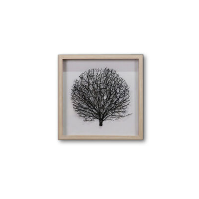 THALLO WALL DECORATION